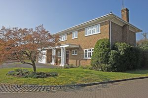 Photo 2- click for photo gallery